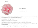 12 Tissue  Pompoms (Pink+ Hot Pink + White+ Silver)