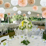 12 Tissue  Pompoms (Peach+ Light Brown+ White )