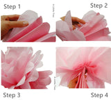 12 Tissue  Pompoms (Pink+ White)